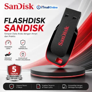 flashdisk usb drive sandisk cruzer blade