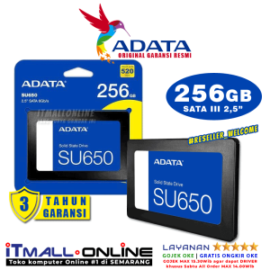 adata su650 256gb