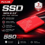 Flyjie SATA III SSD AK800